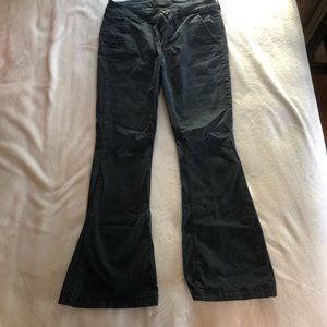 AE Navy Pants
